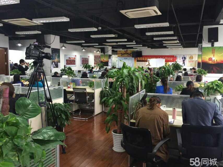 上海江广网络信息咨询服务解析 打造新时代的区域性信息枢纽