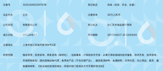 上海希澄实业 专业信息咨询服务的卓越典范